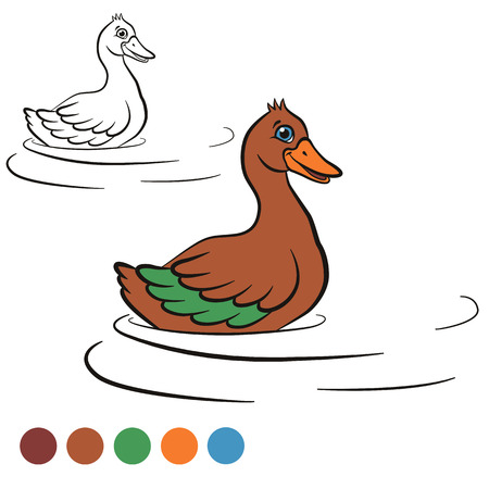 Coloring page. Color me: duck.  Little cute duck swims in the water and smiles. It`s happy.のイラスト素材