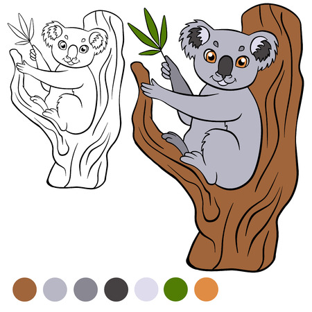 Coloring page. Color me: koala. Little cute koala sits on the tree and holds leaves in the paw.のイラスト素材