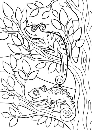 Coloring Pages Wild Animals Two Little Cute Chameleon Sits On The Tree Branch のイラスト素材 ストックフォト 写真素材のstock Foto ストックドットフォト