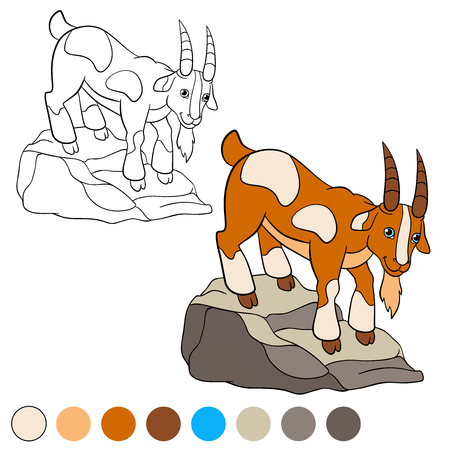 Coloring page. Color me: goat. Cute goat stands on the rock and smiles.のイラスト素材