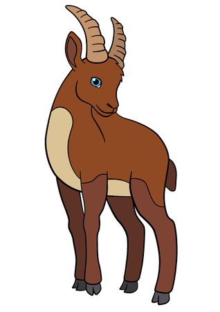 Cartoon animals. Little cute ibex stands and smiles.のイラスト素材