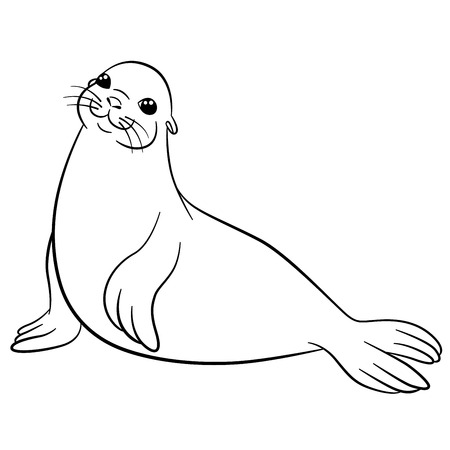 Coloring pages. Little cute fur seal lays and smiles.のイラスト素材