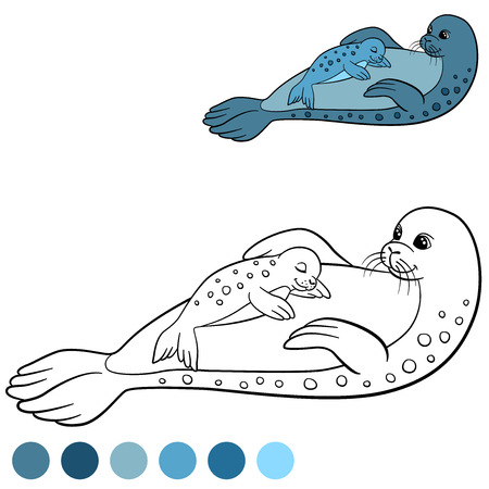 Coloring page with colors. Mother seal with her little cute baby seal on her body.のイラスト素材