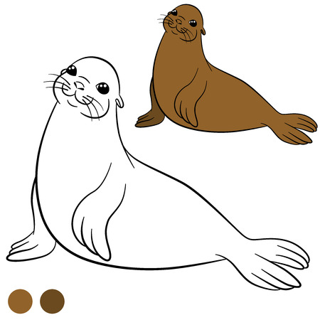 Coloring page with colors. Little cute brown fur seal smiles.のイラスト素材