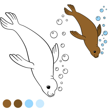 Coloring page with colors. Little cute brown seal swims and smiles.のイラスト素材