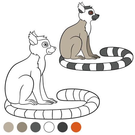 Color me: lemur. Little cute lemur sits and smiles.のイラスト素材