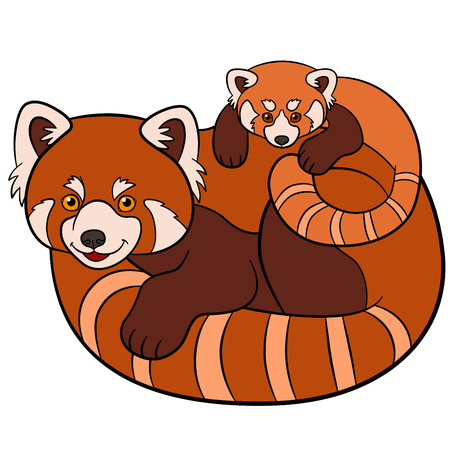 Cartoon wild animals. Mother red panda with her little cute baby.のイラスト素材