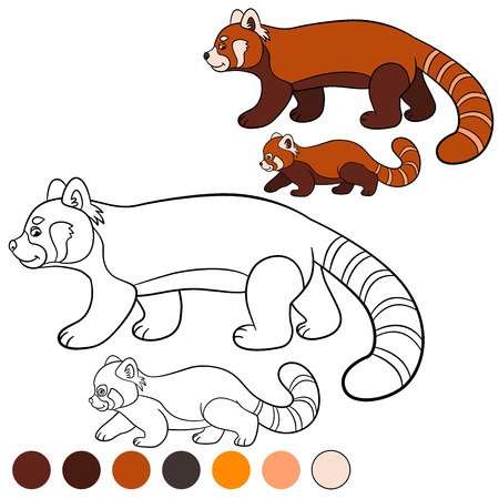 Cute Red Panda Coloring Page | Coloring page in Toledo