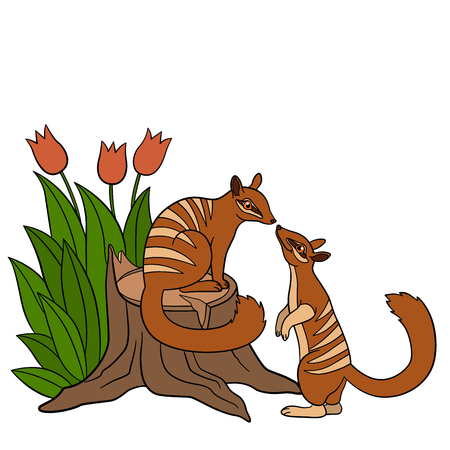 Cartoon animals. Two little cute numbats look at each other and smile.のイラスト素材