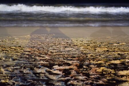 beach atmosphere at nightの写真素材