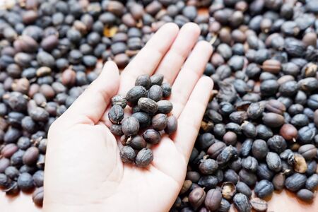 coffee beansの写真素材