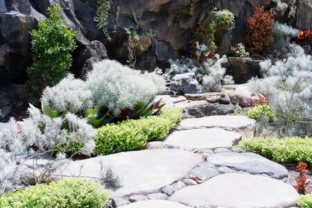 Beautiful Garden