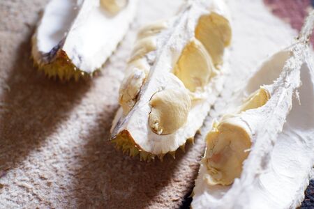 a portrait of delicious durian fruit as a background