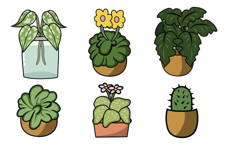 Set of houseplants in pots. Vector illustration isolated on white background.のイラスト素材