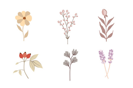 Set of hand drawn flowers, leaves and branches. Vector illustration.のイラスト素材