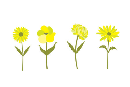 Set of yellow flowers isolated on white background. Vector illustration in flat style.のイラスト素材