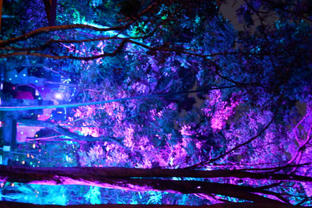 Colorful illumination in the garden at night.
