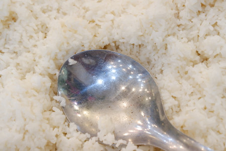 Close up of white rice with spoon in the kitchen. Selective focusの写真素材