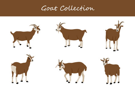 goat collection. Vector illustration. Isolated on white background.のイラスト素材