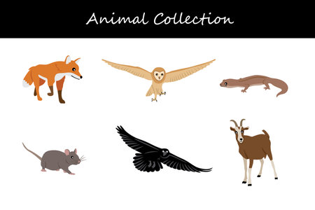 Animals collection isolated on white background. Flat style vector illustration.のイラスト素材
