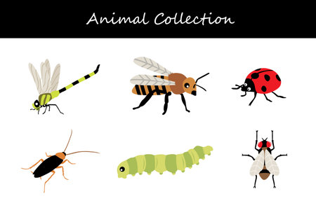 Animals collection isolated on white background. Flat style vector illustration.のイラスト素材