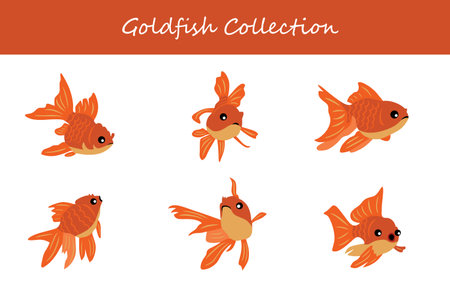 goldfish collection. goldfish in different poses. Vector illustration.のイラスト素材