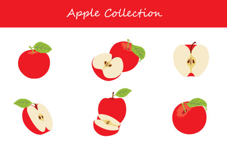 apple collection. apple in different poses. Vector illustration.のイラスト素材