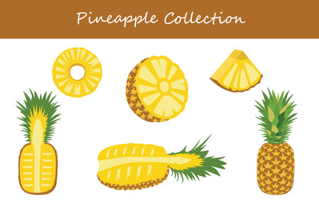 pineapple collection in different poses. Vector illustration.のイラスト素材