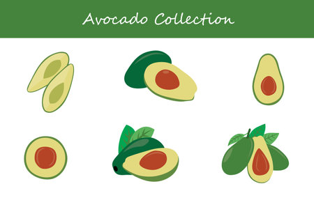avocado collection in different poses. Vector illustration.のイラスト素材