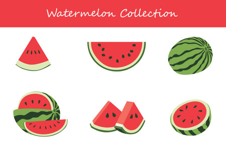 watermelon collection in different poses. Vector illustration.のイラスト素材