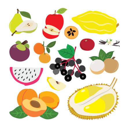 Tropical Fruit Wonders. vector illustrationのイラスト素材