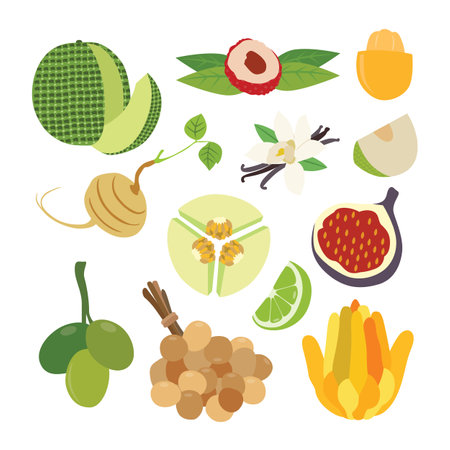 A Diverse Selection of Delicious Fresh Fruitsのイラスト素材