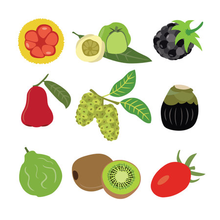 A Colorful Variety of Fruits and Vegetablesのイラスト素材