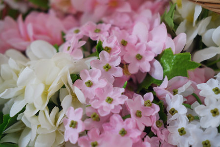 bouquet of flower, soft focus background.の写真素材