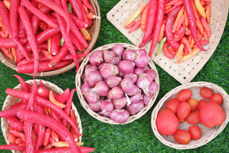 A display of fresh vegetables on grassの写真素材