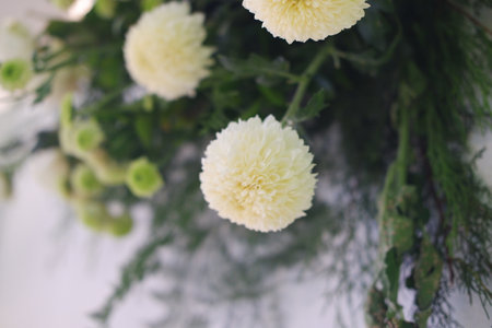 delicate arrangement of white flowersの写真素材