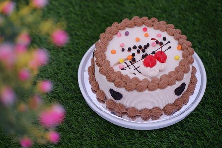 Cake with cherry on top and on a grass background.