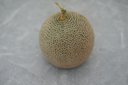 cantaloupe melon on a marble backgroundの写真素材