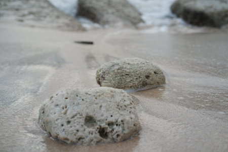 A smooth stone rests on the sandy beachの写真素材