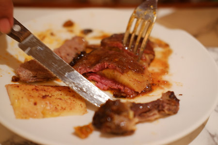Fried meat and potato chips on a white plate.の写真素材