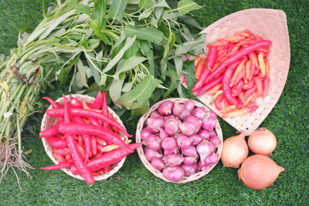 A display of fresh vegetables on grassの写真素材