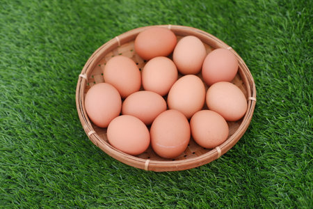 egg in rattan basket with a grass backgroundの写真素材