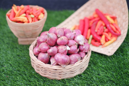 Aromatic Shallots and Spicy Chilies on Grassの写真素材