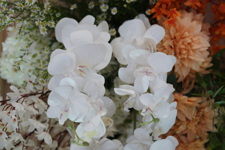Elegant White Orchids in a Floral Arrangementの写真素材