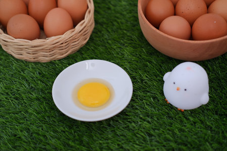 Raw Egg Yolk with Brown Eggs Nearbyの写真素材