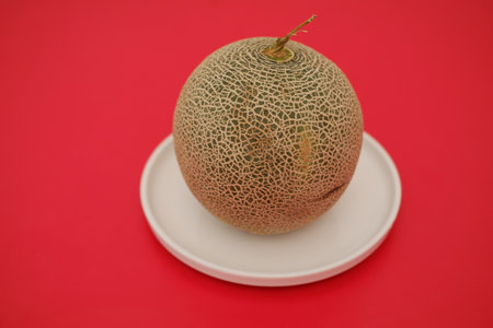a whole cantaloupe melon placed on a simple white plate against a bold red backgroundの写真素材