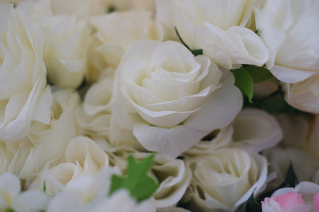 Elegant White Fabric Roses for Decorationの写真素材