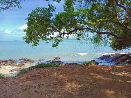 Rock, Tree and Seaの写真素材