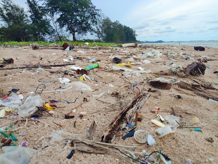 Pollution on the beachの写真素材