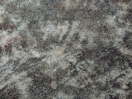 Cement floor textureの写真素材